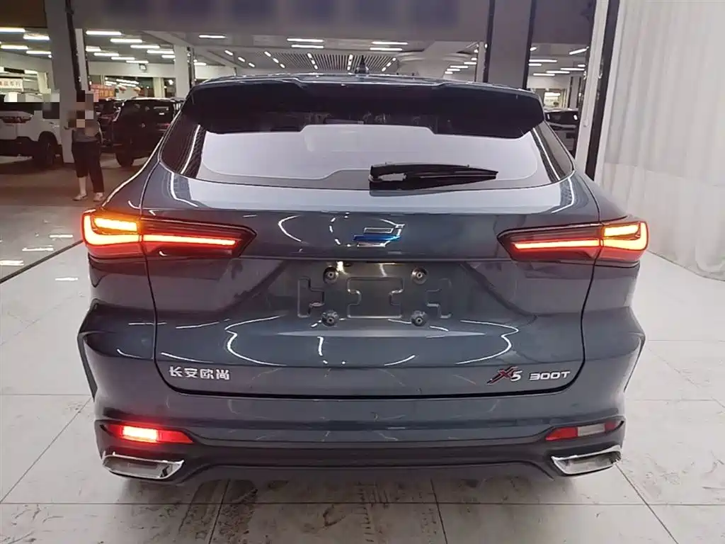 Changan Oshan X5 1.5 T DCT Distinguished