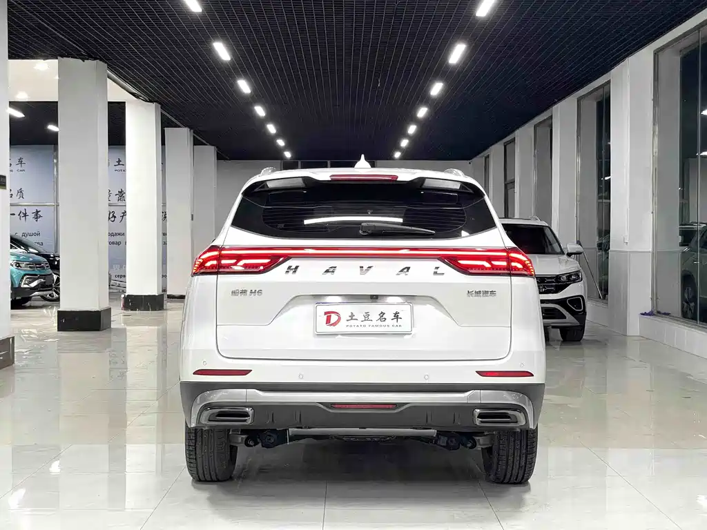 Haval H6 China Style 1.5 T Auto Urban
