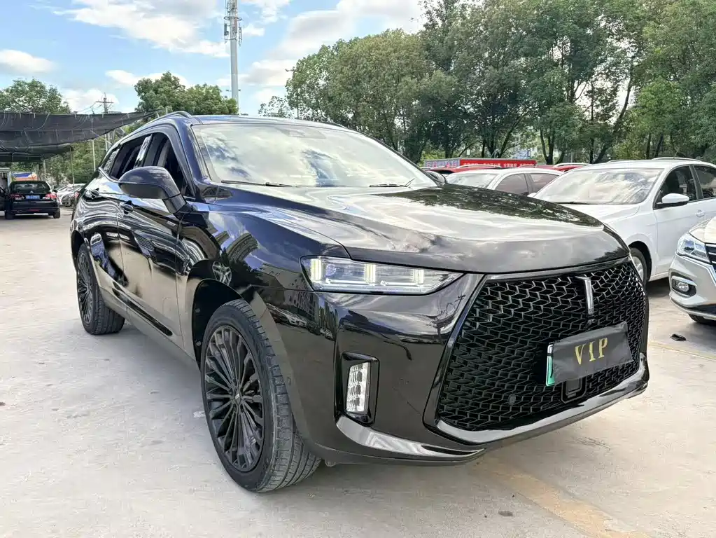 WEY P8 2.0 T Flagship