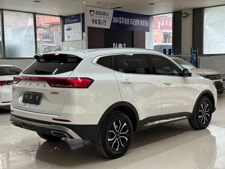 Haval H6 China Style 1.5 T Auto Urban