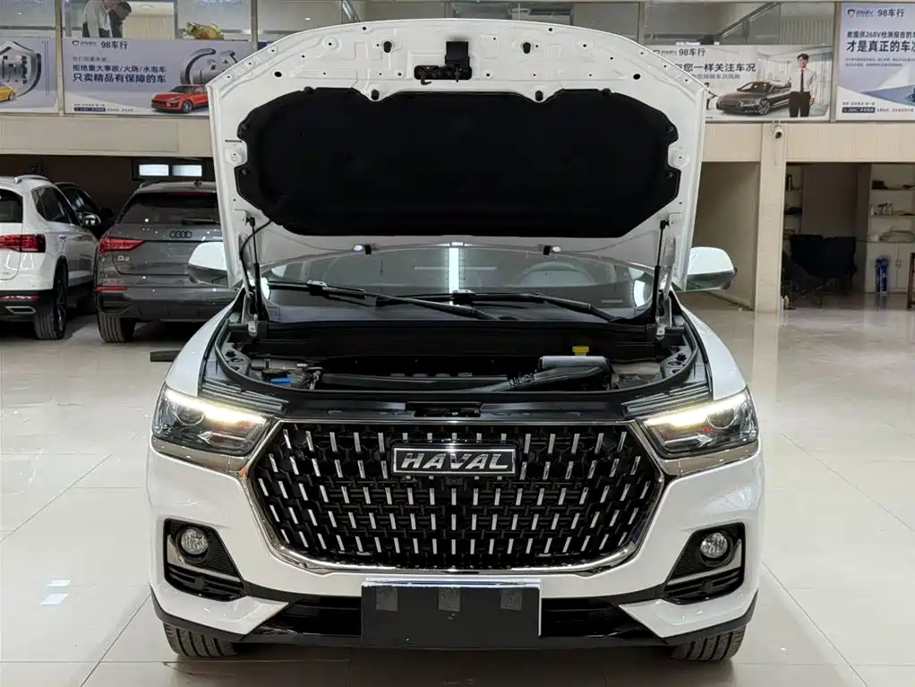 Haval H6 China Style 1.5 T Auto Urban