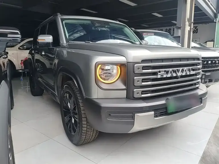 Haval Menglong NEV Hi4 145 Cross