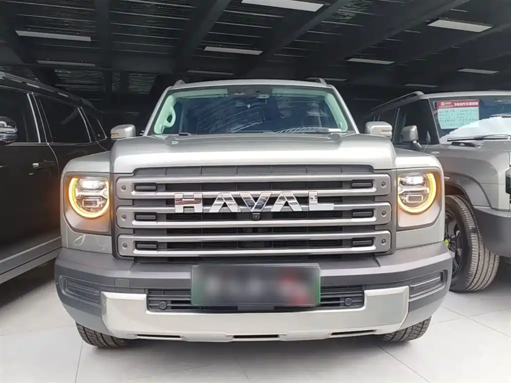 Haval Menglong NEV Hi4 145 Cross