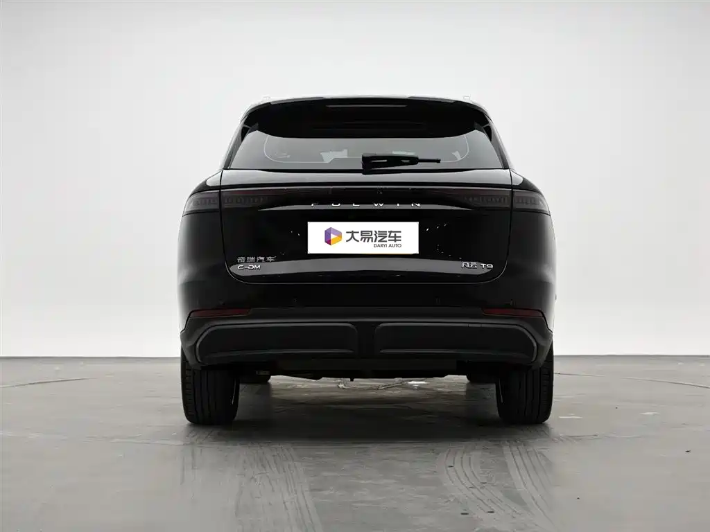Fengyun T9 风云T9 2024款 210 超长续航版豪华型 5座 磷酸锰铁锂