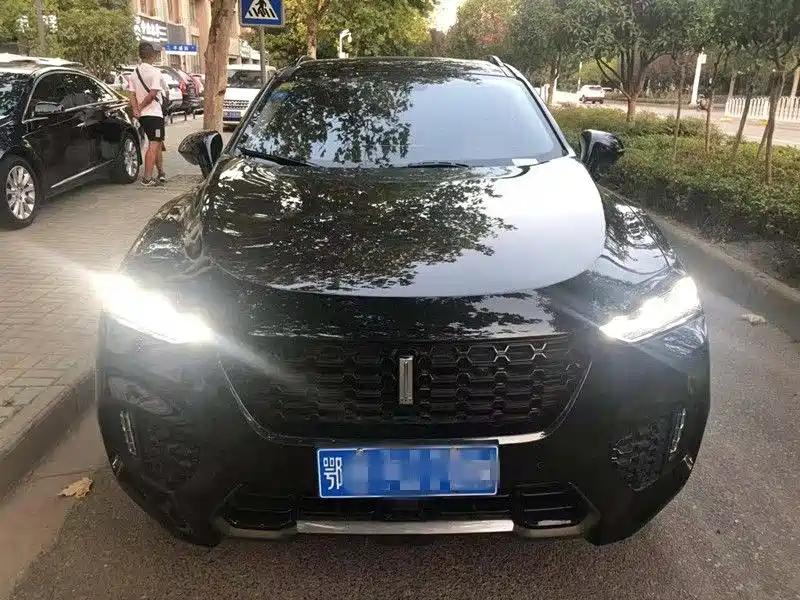 WEY VV7 2.0 T Flagship