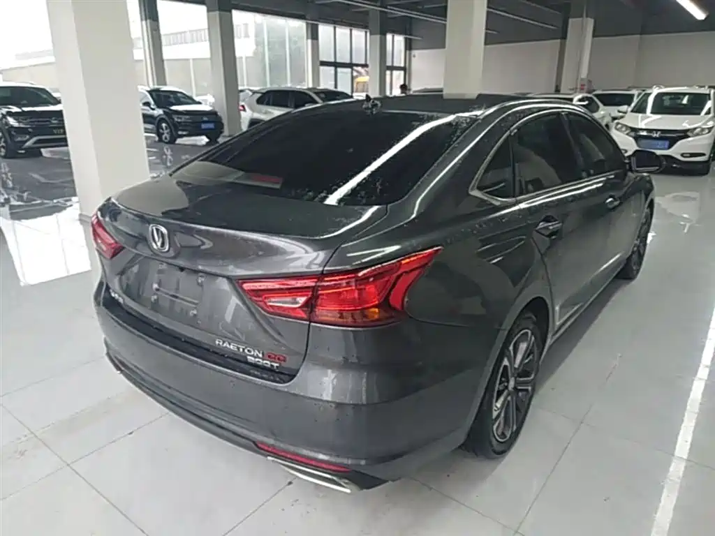 Ruicheng CC Blue Whale 1.5 T DCT Luxury