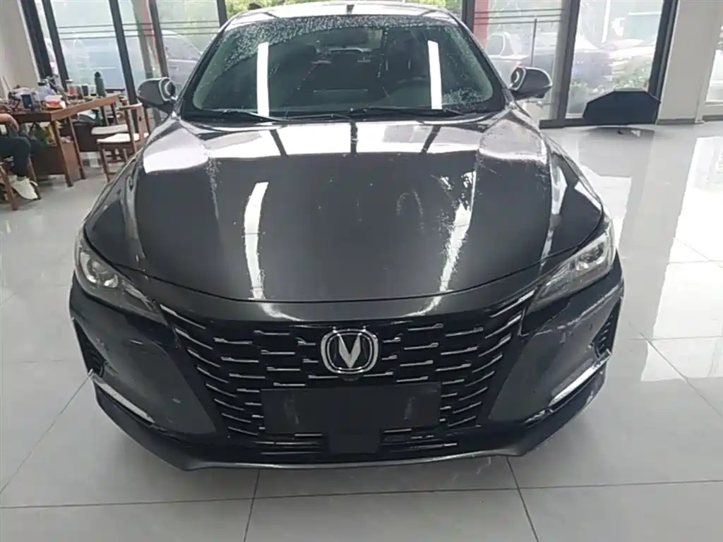 Ruicheng CC Blue Whale 1.5 T DCT Luxury