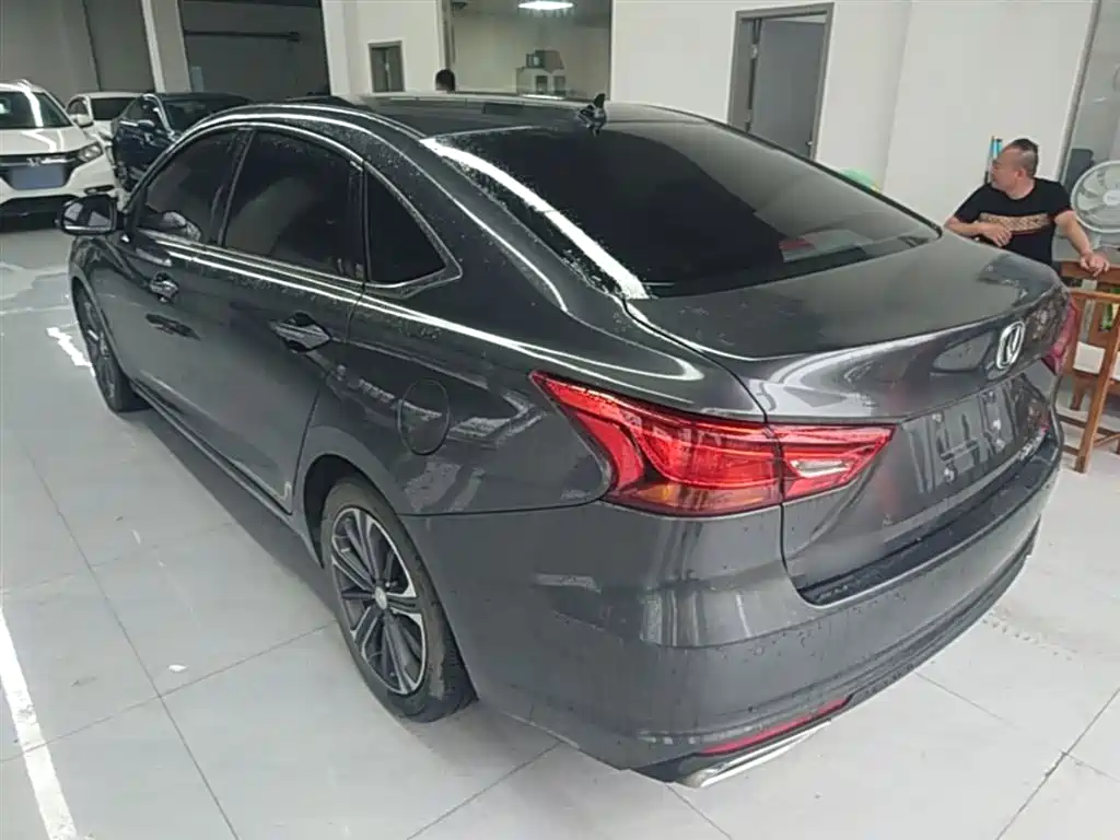 Ruicheng CC Blue Whale 1.5 T DCT Luxury