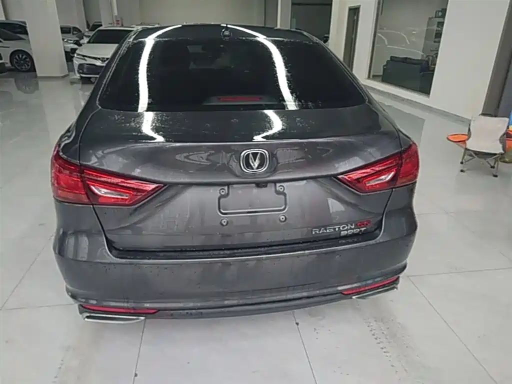 Ruicheng CC Blue Whale 1.5 T DCT Luxury