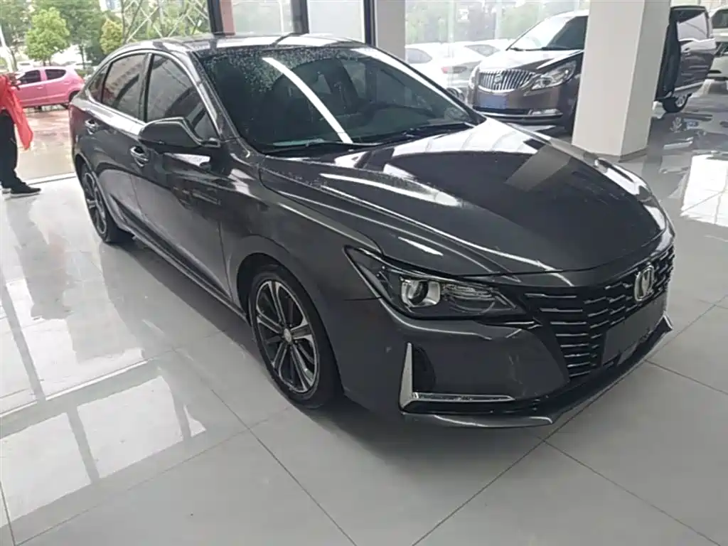 Ruicheng CC Blue Whale 1.5 T DCT Luxury