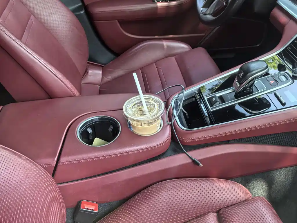 Panamera NEV Panamera 4 E-Hybrid 2.9 T