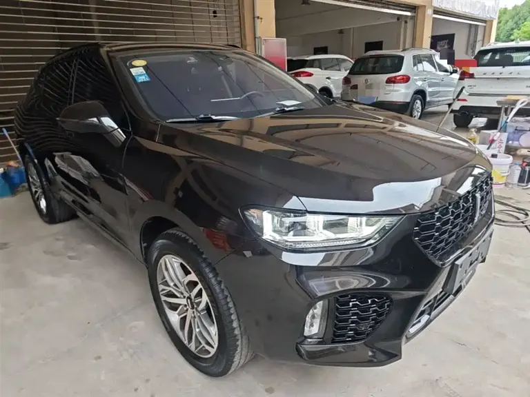 WEY VV5 2.0 T Super Luxury