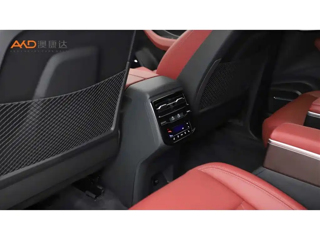 Audi Q6 奥迪Q6/2.0 T/24款/45 TFSI quattro黑武士版 6座