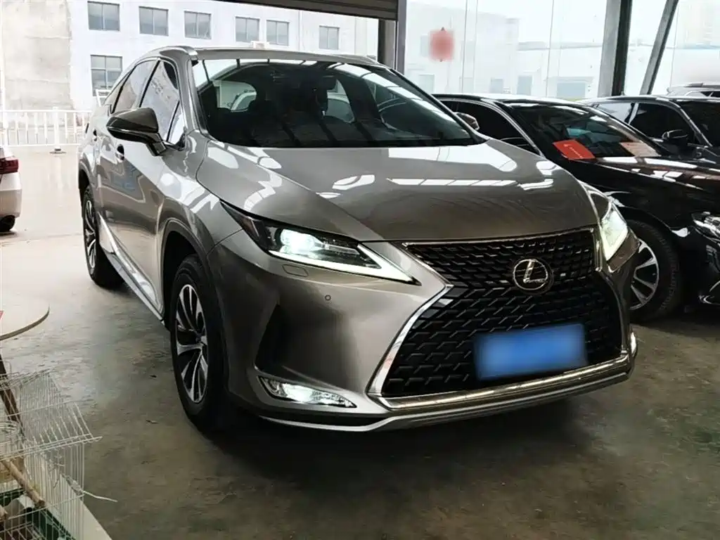 Lexus RX 300 2 WD Elite CN-VI