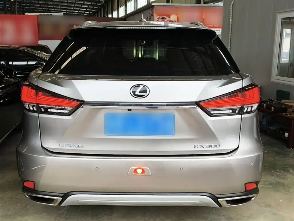 Lexus RX 300 2 WD Elite CN-VI