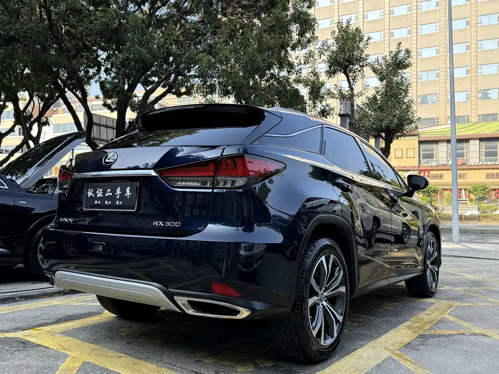 Lexus RX 300 4 WD Special Edition