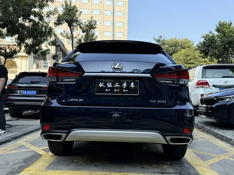 Lexus RX 300 4 WD Special Edition