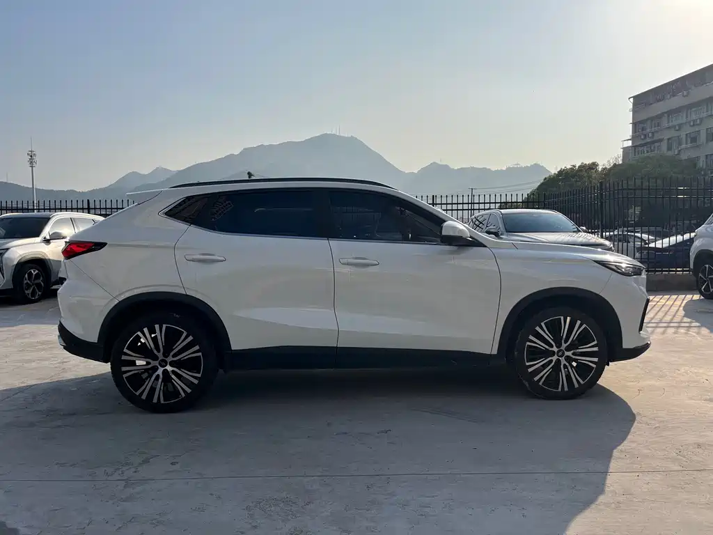 Changan Oshan X5 1.5 T DCT Distinguished