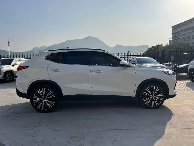 Changan Oshan X5 1.5 T DCT Distinguished