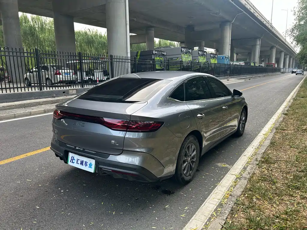 Qin L DM-i 80 KM Leading