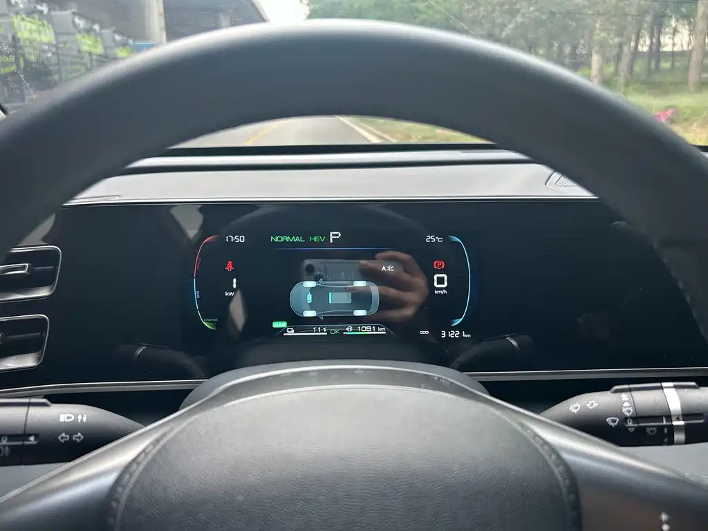 Qin L DM-i 80 KM Leading