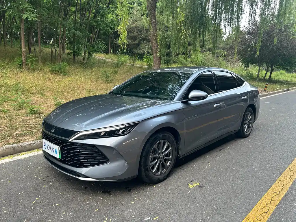 Qin L DM-i 80 KM Leading