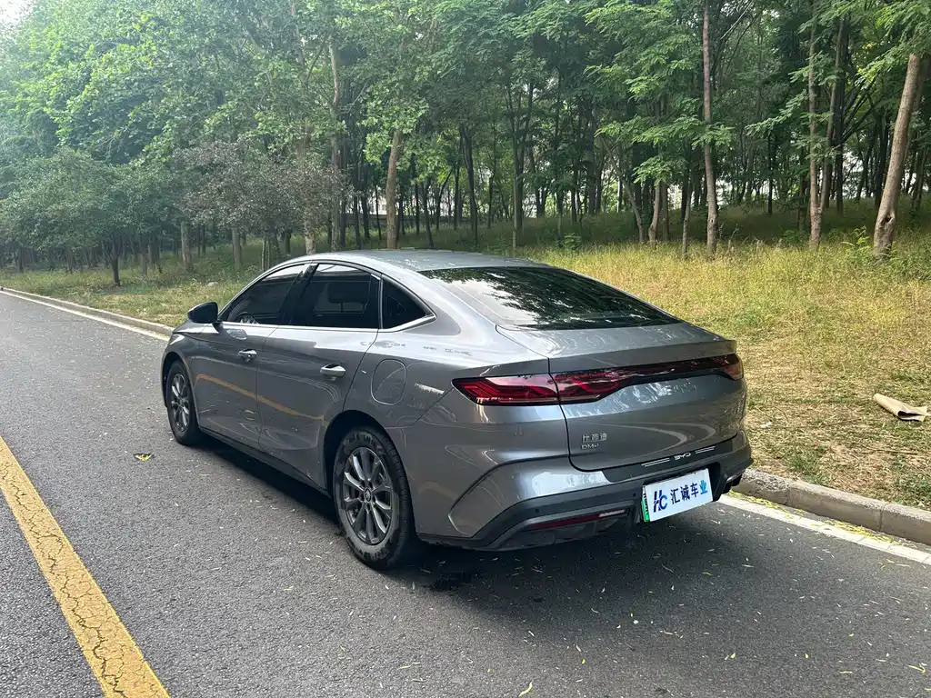 Qin L DM-i 80 KM Leading