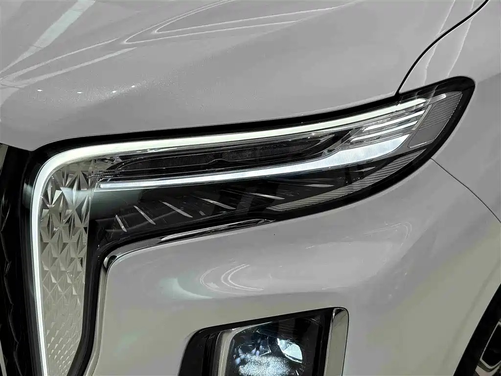 Hongqi HQ9 2.0 T Connected Flagship Charm