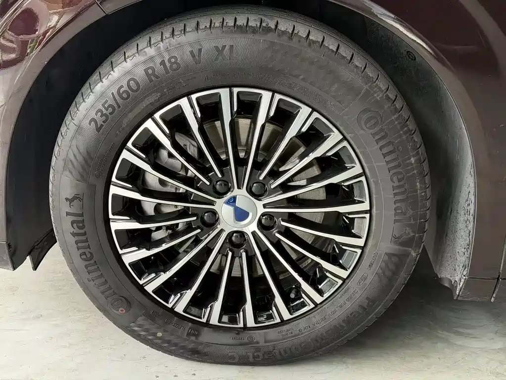 Denza D9 DM-i 980 4 WD Honored
