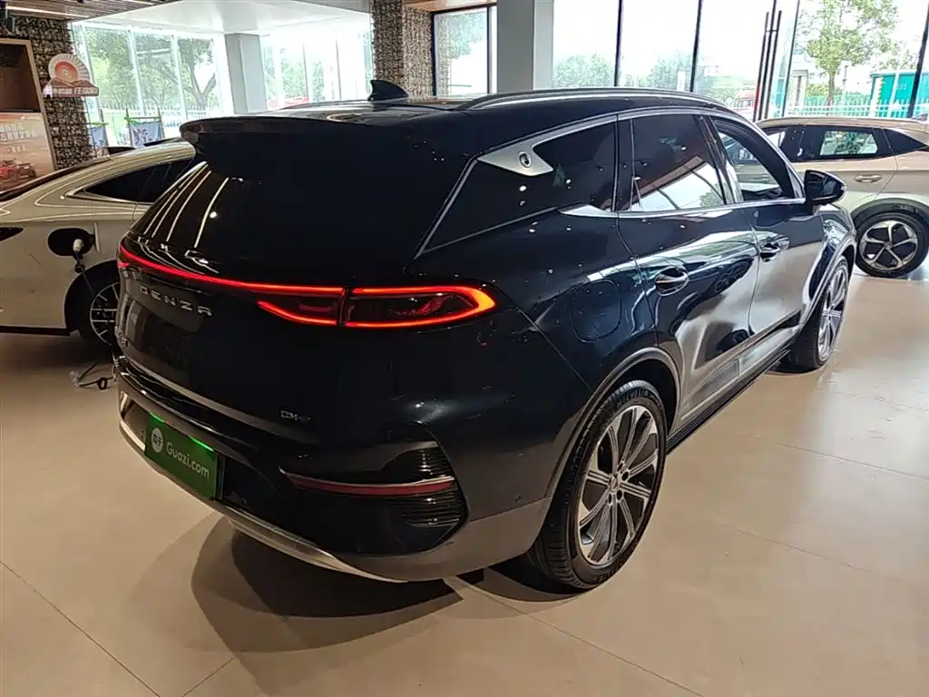 Denza N8 4 WD Super Hybrid Flagship 6-seat