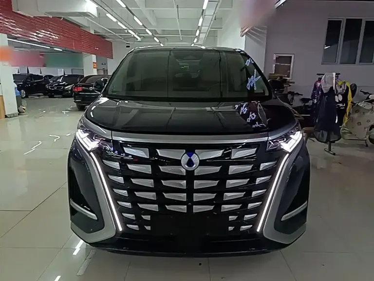 Denza D9 DM-i 980 4 WD Honored