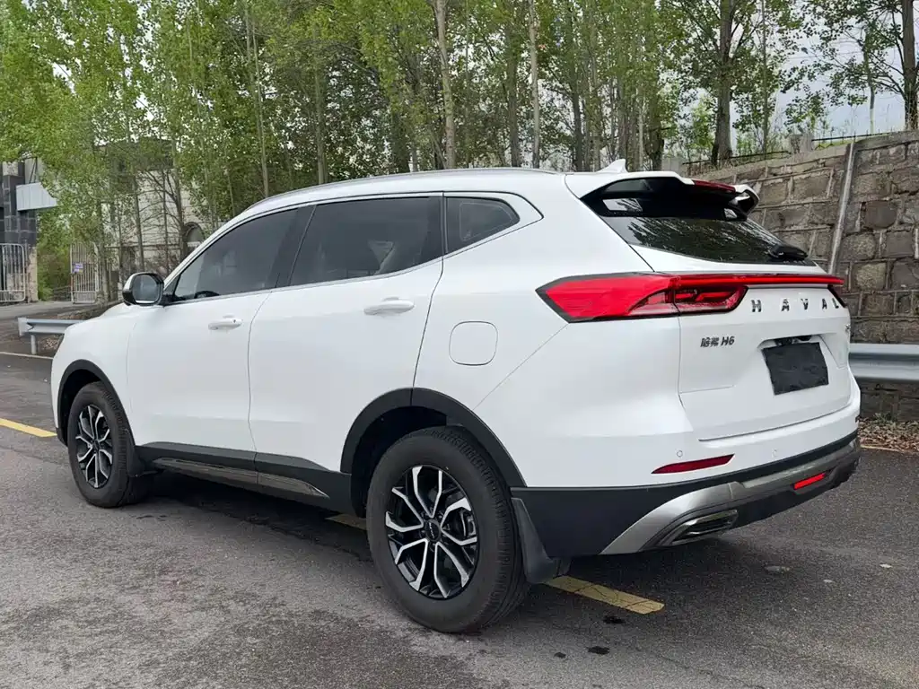 Haval H6 China Style 1.5 T Auto Urban