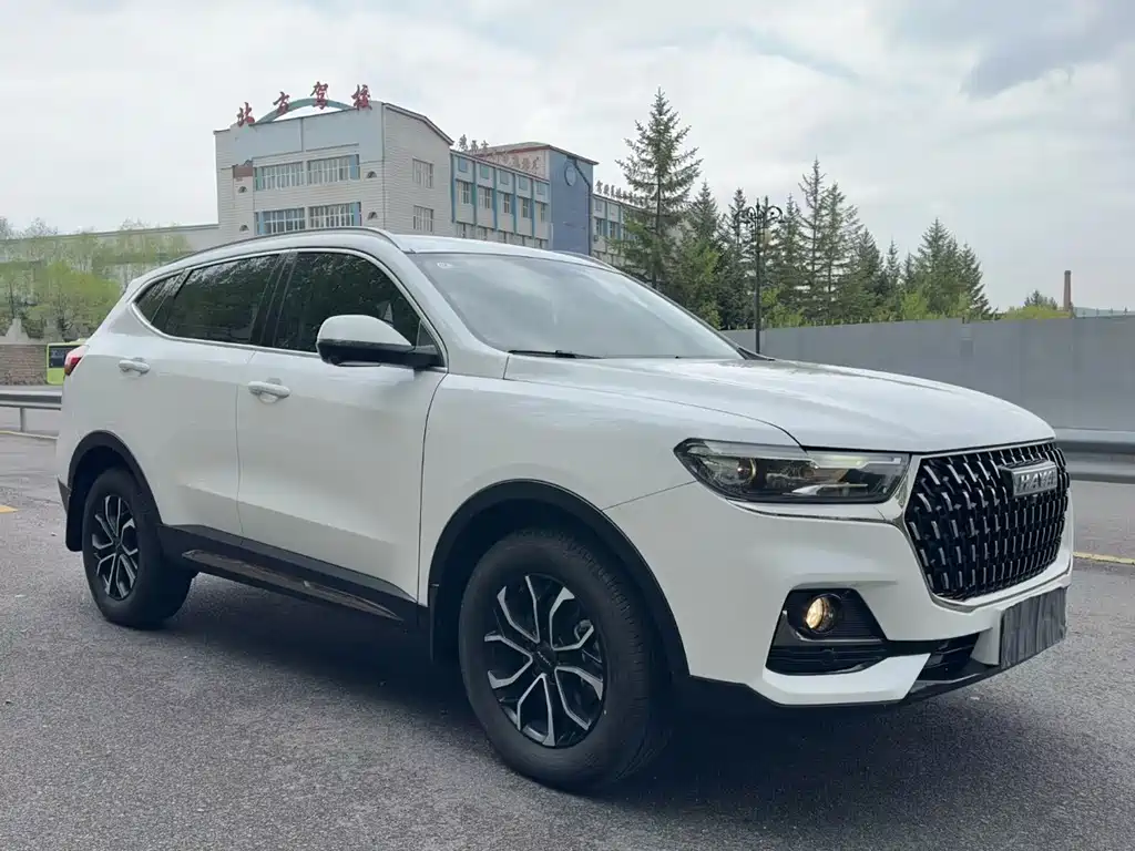 Haval H6 China Style 1.5 T Auto Urban
