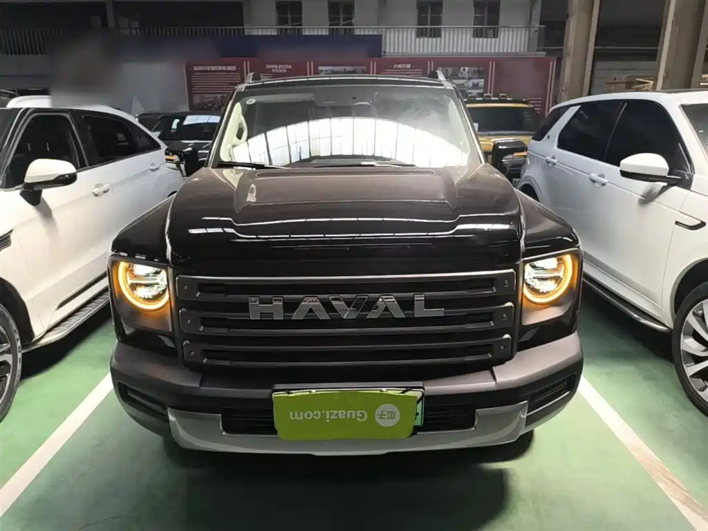 Haval Menglong NEV Hi4 145 Cross