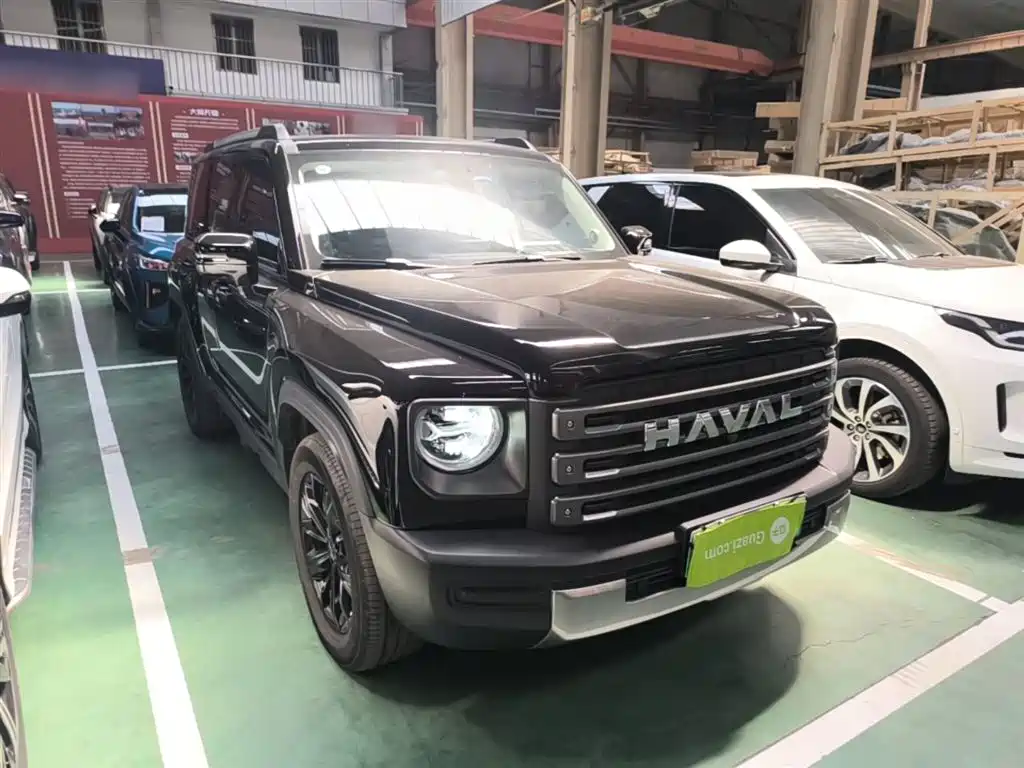 Haval Menglong NEV Hi4 145 Cross