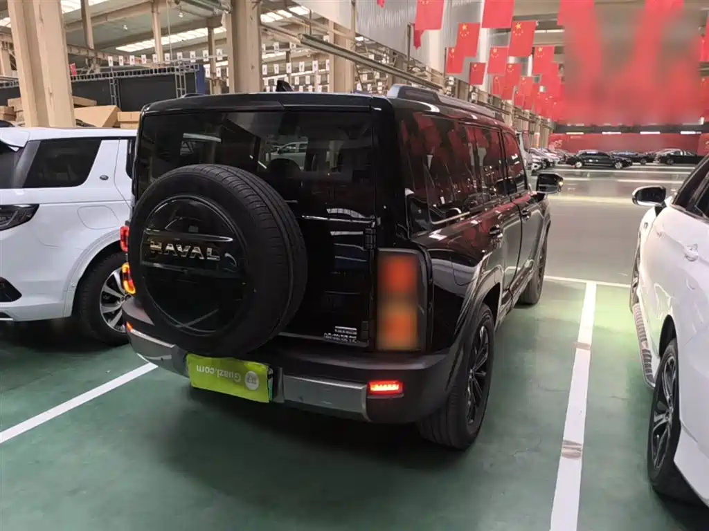 Haval Menglong NEV Hi4 145 Cross