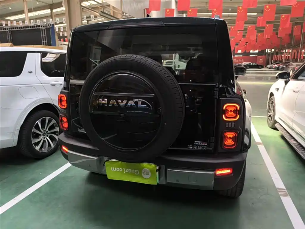 Haval Menglong NEV Hi4 145 Cross