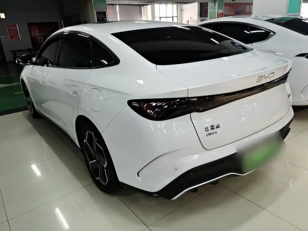 Seal 06 DM-i 120 KM Flagship