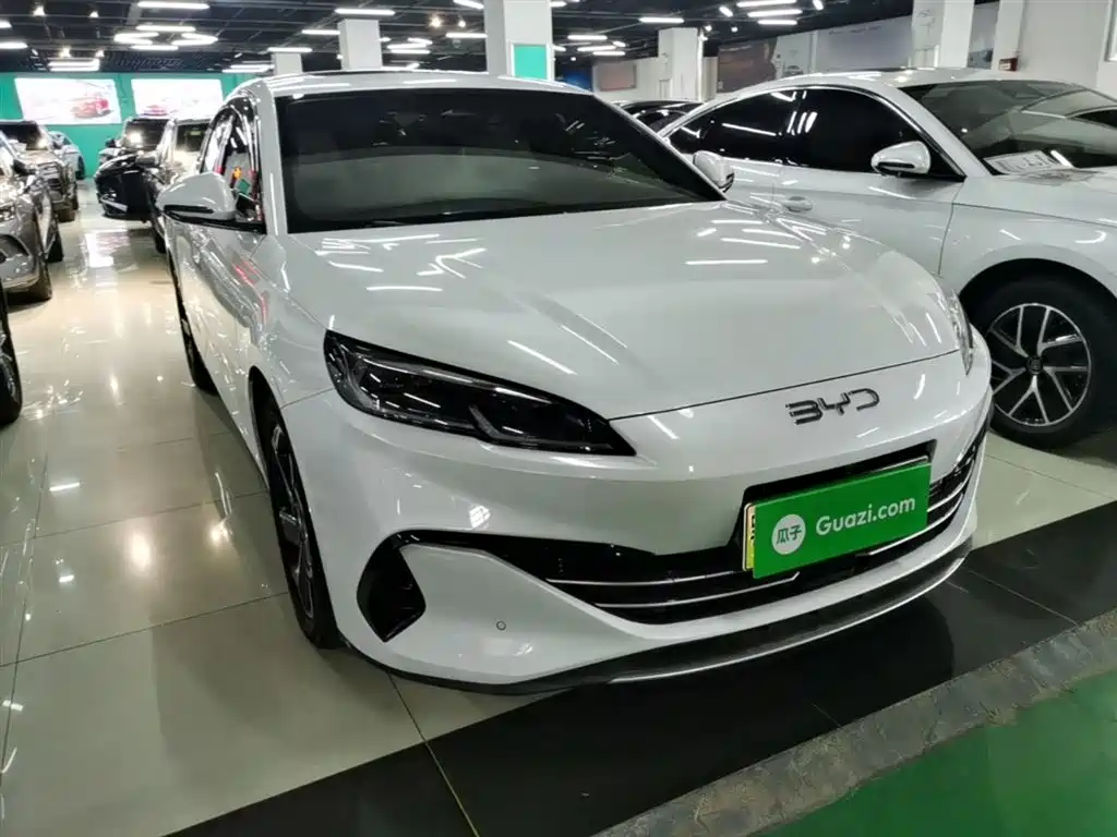 Seal 06 DM-i 120 KM Flagship