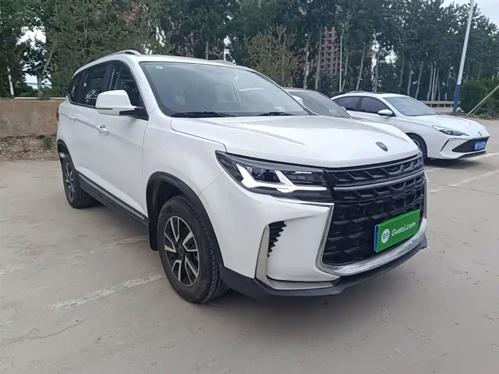Fengxing T5 Prosperity 1.6 L Manual Dream Chaser 5-seat