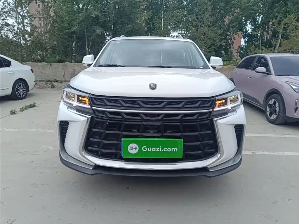 Fengxing T5 Prosperity 1.6 L Manual Dream Chaser 5-seat