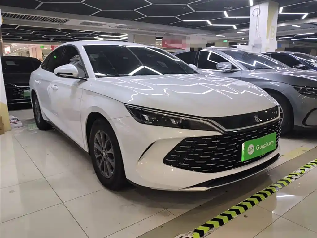 Qin L DM-i 80 KM Leading