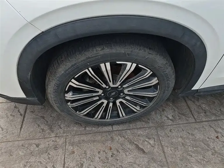 Changan Oshan X5 1.6 L CVT Premium