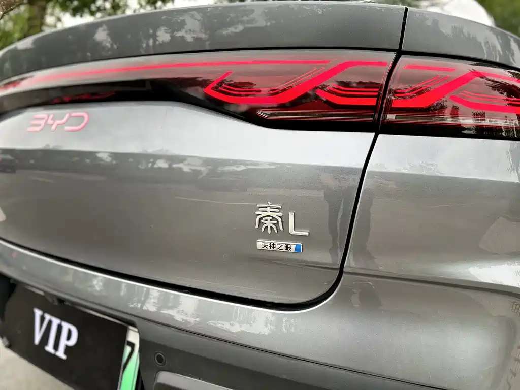 Qin L DM-i Smart Drive 80 KM Leading