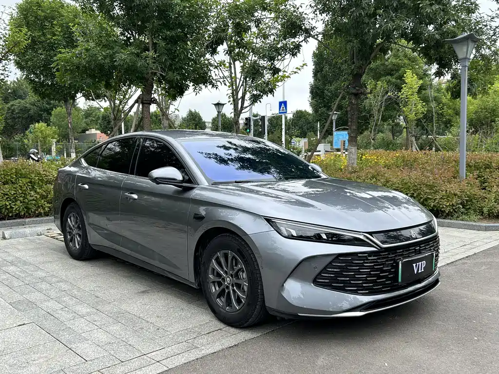 Qin L DM-i Smart Drive 80 KM Leading