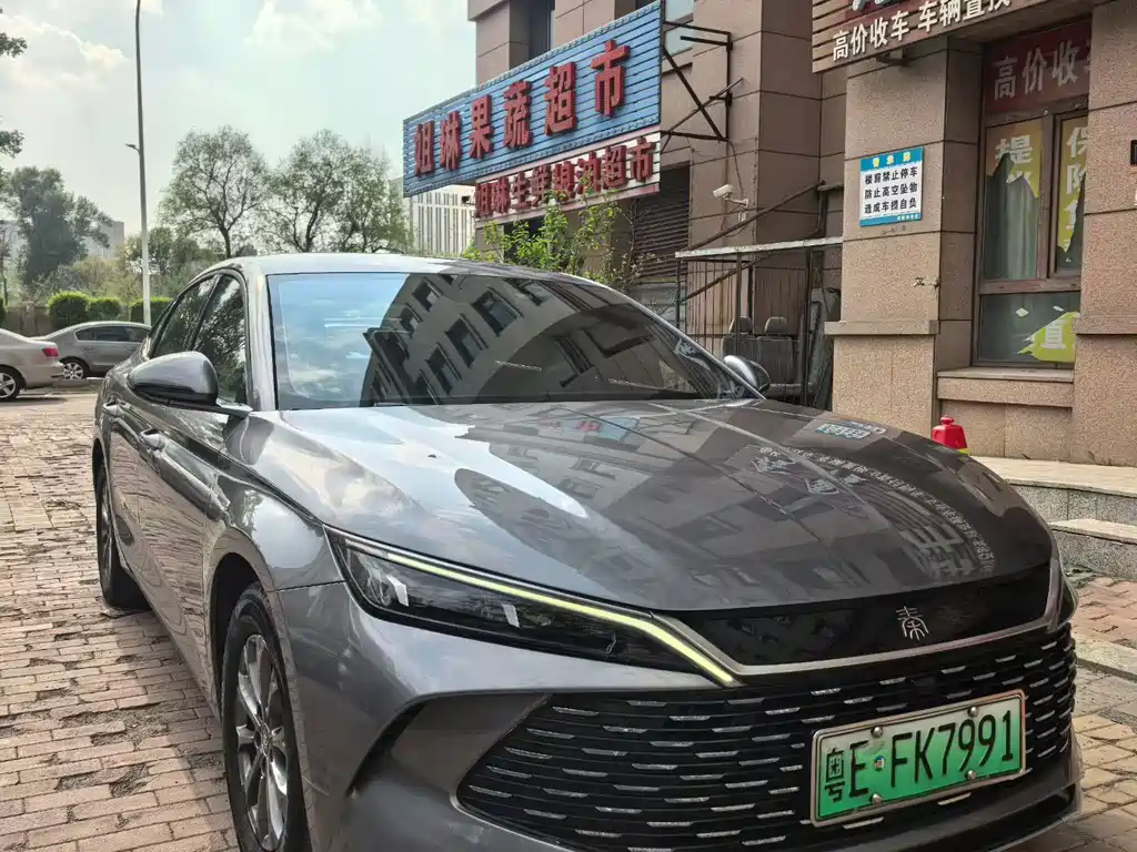 Qin L DM-i 80 KM Leading