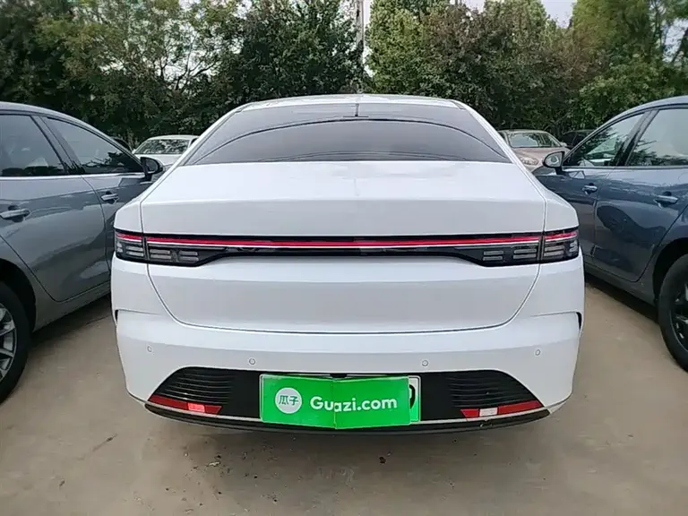 BYD Destroyer 05 Glory DM-i 55 KM Luxury