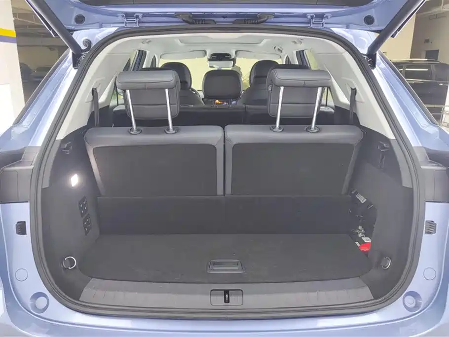 Fengyun T9 120 Long Range Flagship 7-seat Ternary Lithium