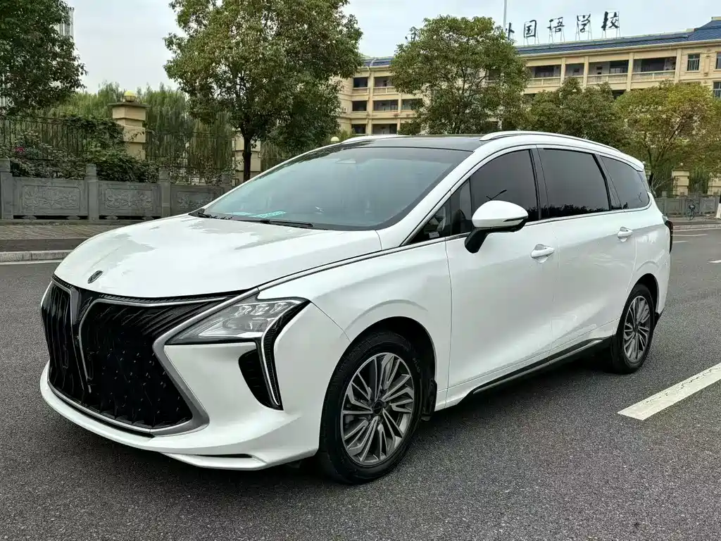 Fengxing Yacht 1.5 T DCT Wave Chaser