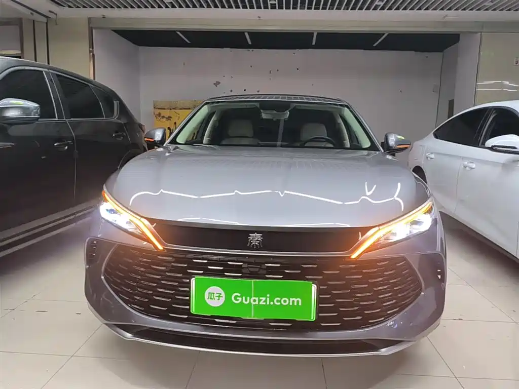 Qin L DM-i 80 KM Leading